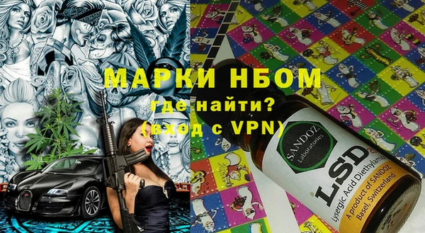 стаф Верея