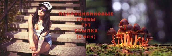 стаф Верея