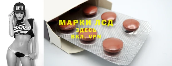 стаф Верея