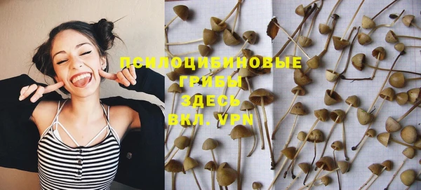 стаф Верея