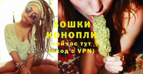 стаф Верея