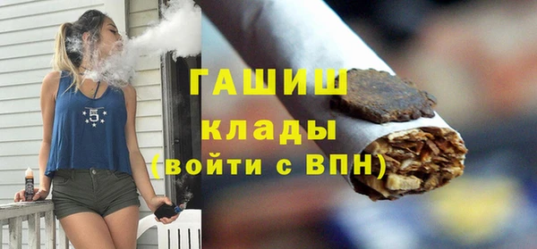 стаф Верея