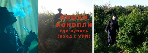 СК Покровск